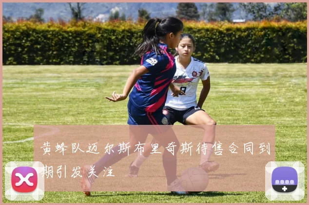黄蜂队迈尔斯布里奇斯待售合同到期引发关注