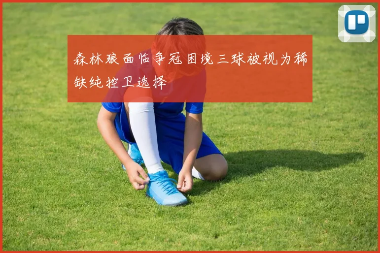森林狼面临争冠困境三球被视为稀缺纯控卫选择
